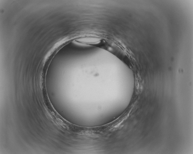 X0000087630244200705241222