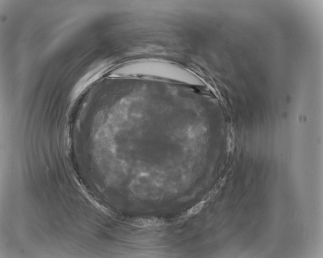 X0000087630245200705241222