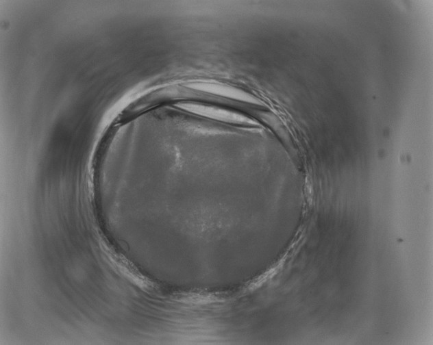 X0000087630246200705241222