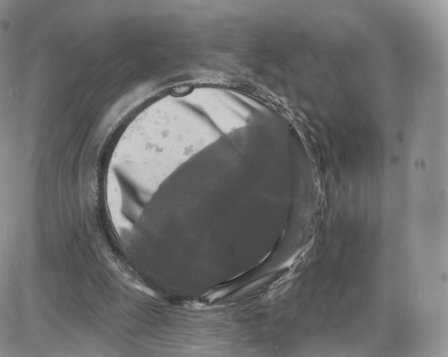 X0000087630247200705241222