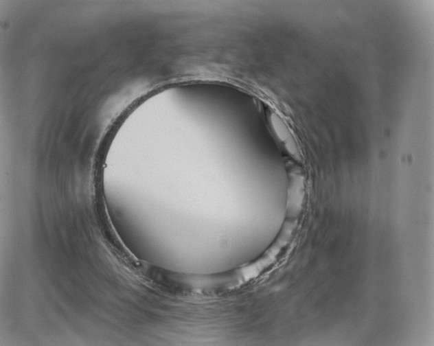 X0000087630248200705241222