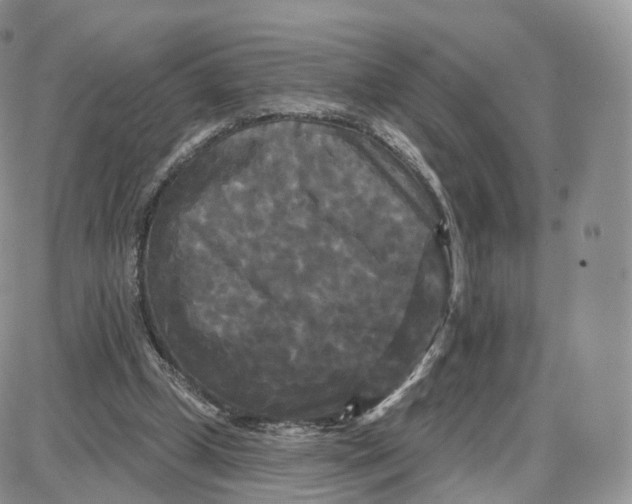 X0000087630249200705241222