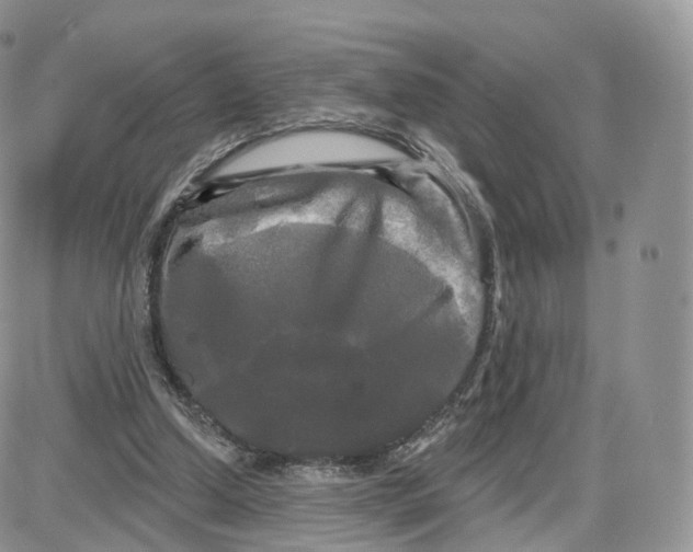 X0000087630250200705241222