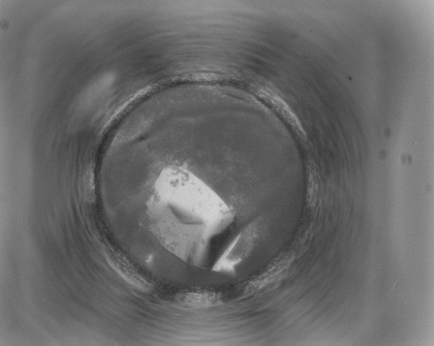 X0000087630251200705241222