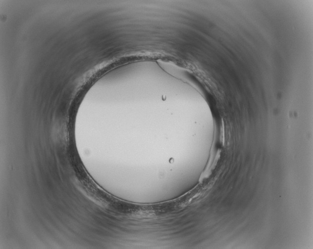 X0000087630252200705241222