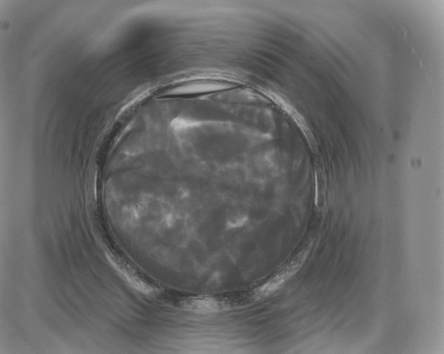 X0000087630253200705241222