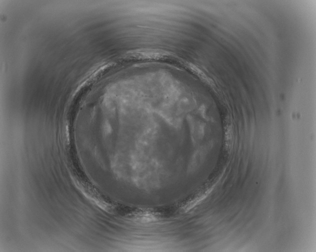 X0000087630254200705241222