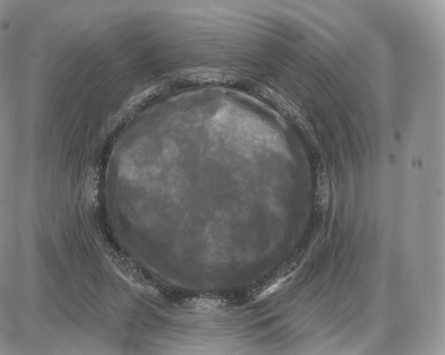 X0000087630255200705241222