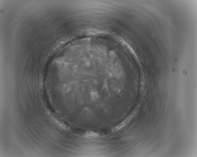 X0000087630257200705241222