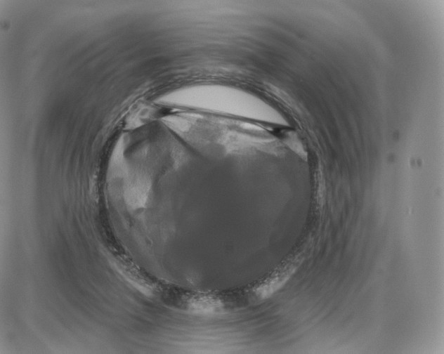 X0000087630258200705241222