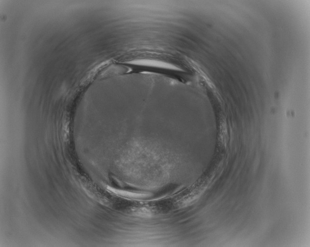 X0000087630259200705241222