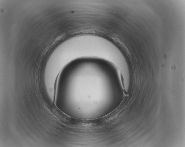 X0000087630260200705241222