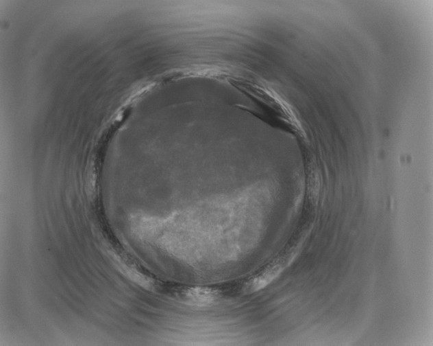 X0000087630261200705241222