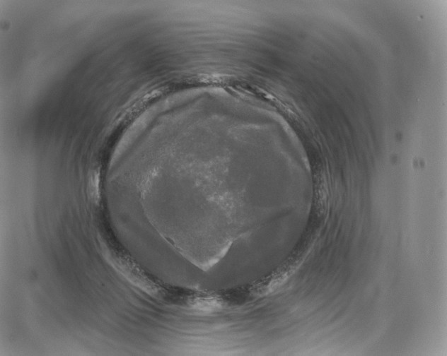 X0000087630262200705241222