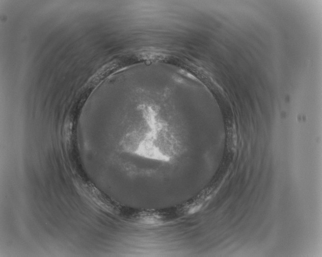 X0000087630263200705241222