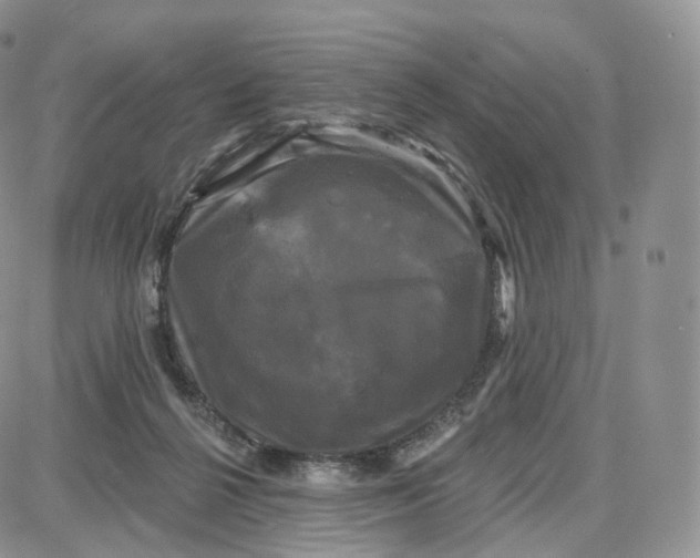 X0000087630264200705241222