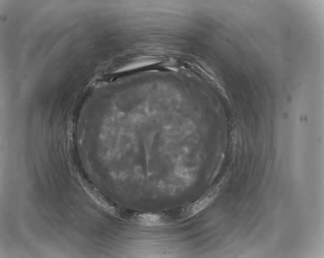 X0000087630265200705241222