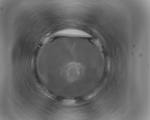 X0000087630266200705241222