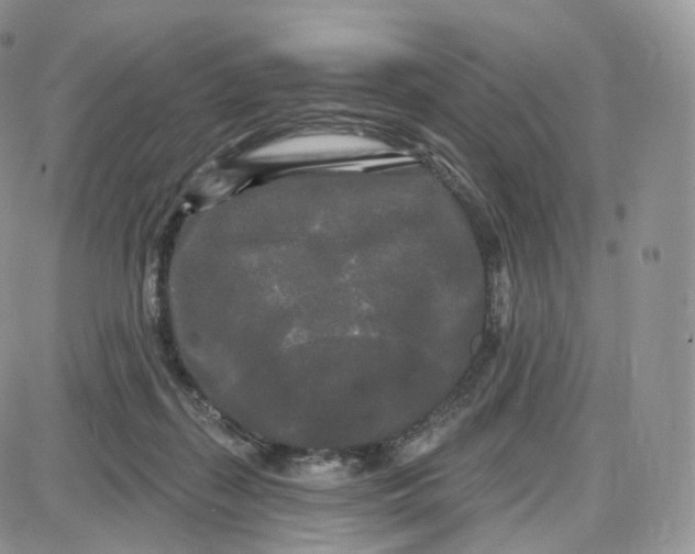 X0000087630267200705241222