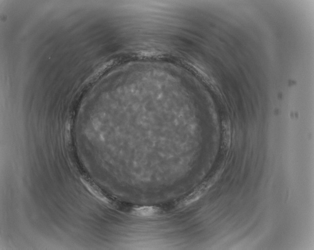 X0000087630269200705241222