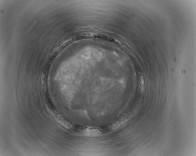 X0000087630270200705241222