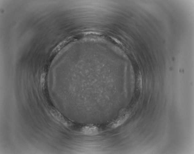 X0000087630271200705241222