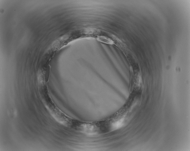 X0000087630272200705241222