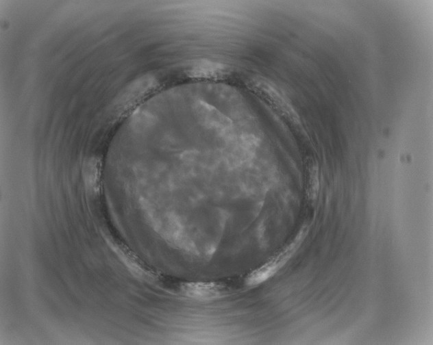 X0000087630273200705241222