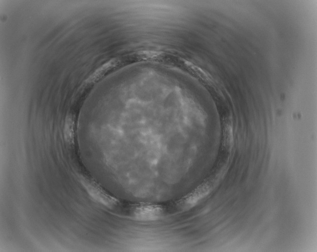 X0000087630274200705241222