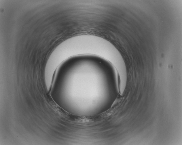 X0000087630276200705241222