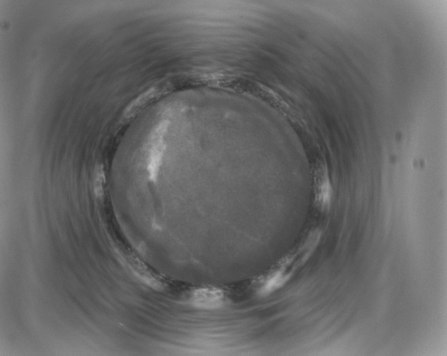 X0000087630279200705241222