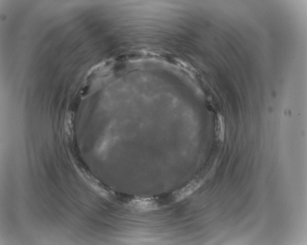 X0000087630280200705241222