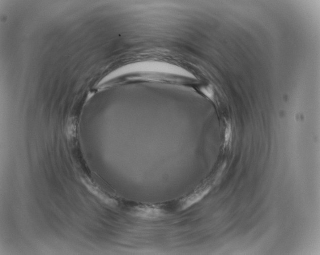 X0000087630284200705241222