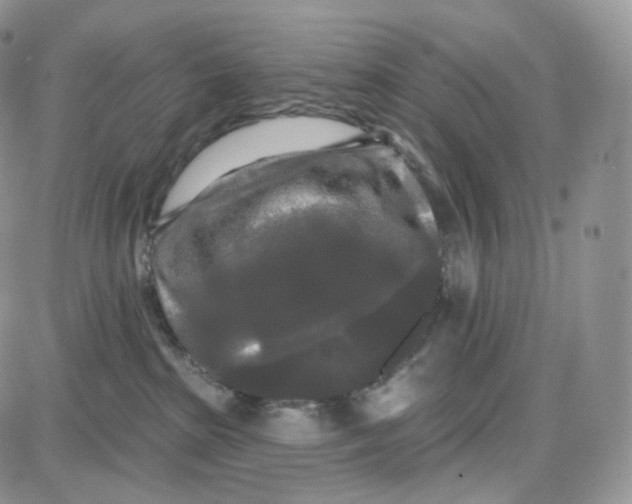 X0000087630285200705241222