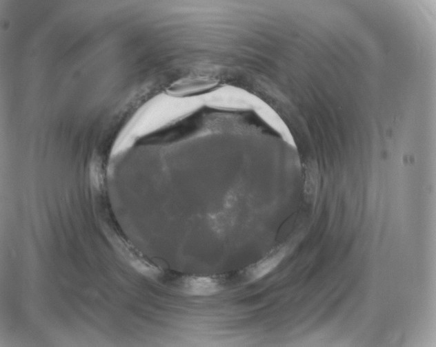 X0000087630287200705241222