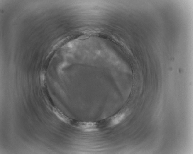 X0000087630288200705241222