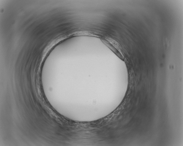 X0000087630289200705241222