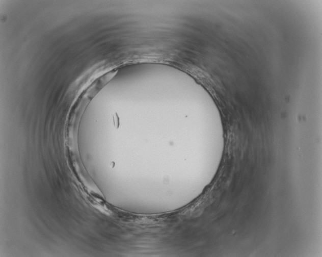 X0000087630290200705241222