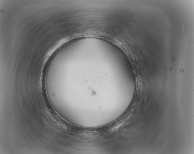 X0000087630292200705241222