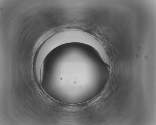 X0000087630293200705241222