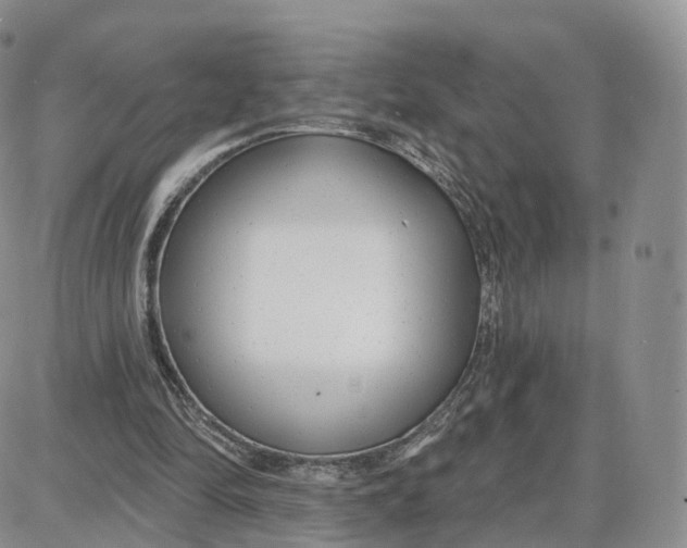 X0000087630294200705241222