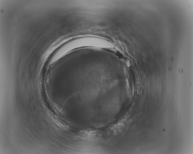 X0000087630295200705241222