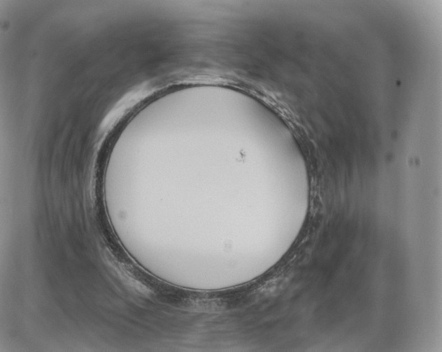 X0000087630296200705241222