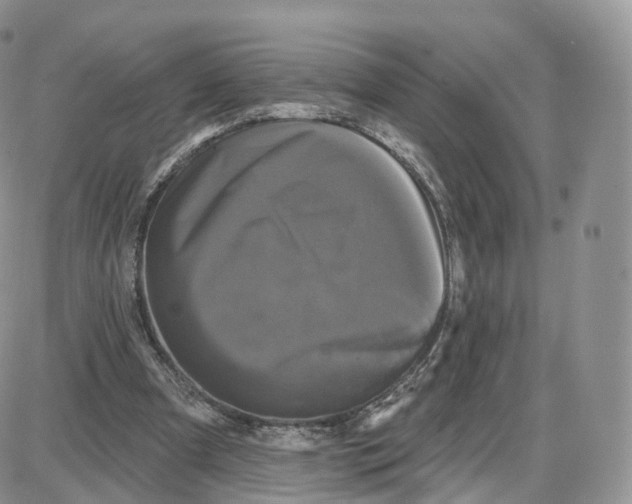 X0000087630297200705241222