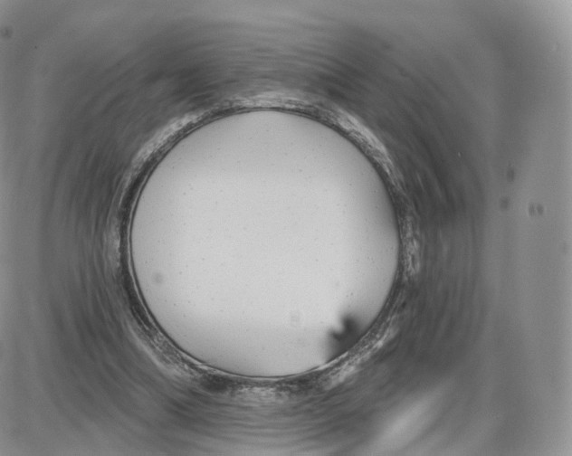 X0000087630298200705241221