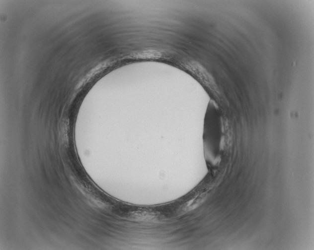 X0000087630300200705241221