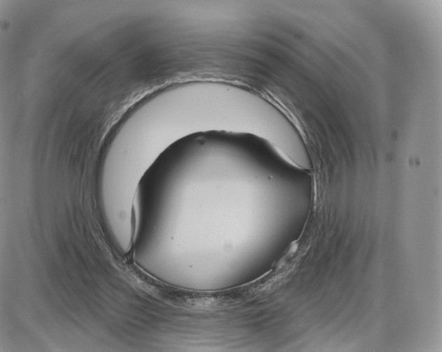 X0000087630301200705241221