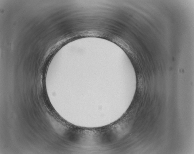 X0000087630302200705241221