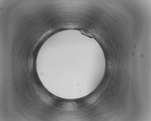 X0000087630304200705241221