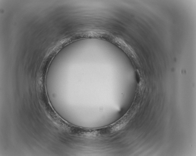 X0000087630306200705241221